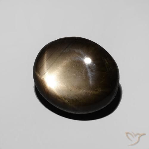 Saphir étoilé Noire naturelle ovale, 3.55 ct, Opaque