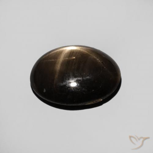 Saphir étoilé Noire naturelle ovale, 3.44 ct, Opaque