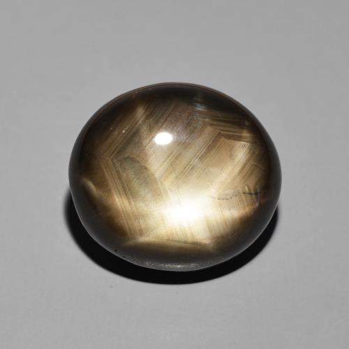 Saphir étoilé Noire naturelle ovale, 19.55 ct, Opaque