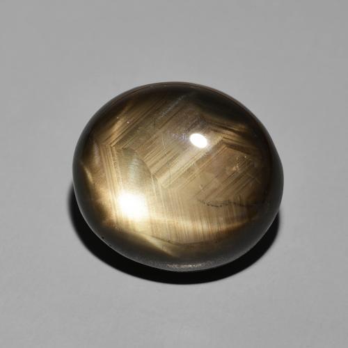 Saphir étoilé Noire naturelle ovale, 19.55 ct, Opaque