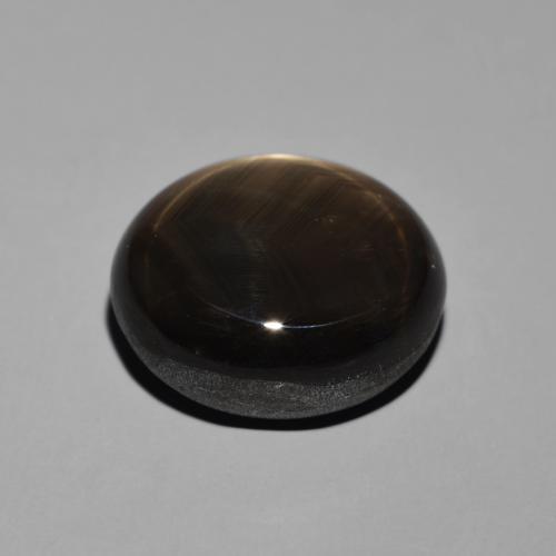 Saphir étoilé Noire naturelle ovale, 19.55 ct, Opaque