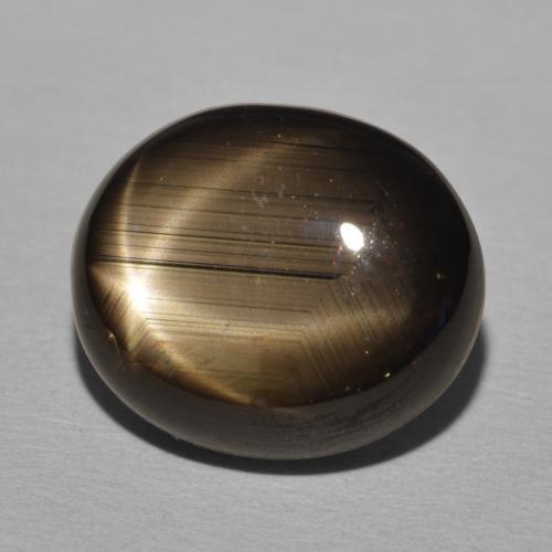 Saphir étoilé Noire naturelle ovale, 20.30 ct, Opaque