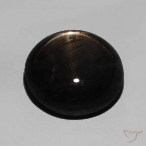 Saphir étoilé Noire naturelle ovale, 15.48 ct, Opaque