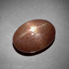 Pierre de soleil étoilée Brun doré naturelle Coupe ovale, 6.85 ct, Opaque