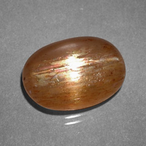 Pierre de soleil étoilée Brun doré naturelle Coupe ovale, 2.64 ct, Opaque
