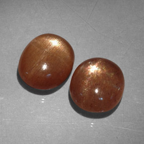 Achetez naturel ct Brun doré Pierre de soleil étoilée gems, Coupe ovale, En provenance Inde chez GemSelect. En stock, livraison internationale!