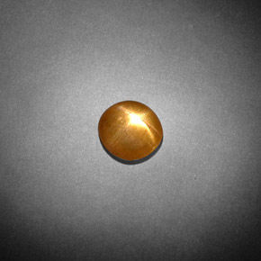 Pierre de soleil étoilée Brun doré naturelle Coupe ovale, 0.85 ct, Opaque