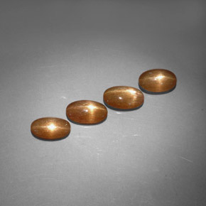 Achetez naturel ct marron pierre de soleil étoilée gems, transparent, en provenance inde chez gemselect. en stock, livraison internationale!