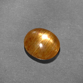 Pierre de soleil étoilée Brun doré naturelle Coupe ovale, 1.41 ct, Opaque