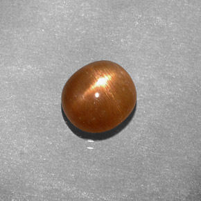 Pierre de soleil étoilée marron doré naturelle coupe ovale, 1,49 ct, opaque