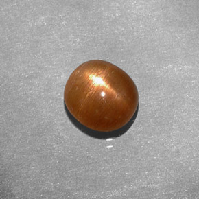 Pierre de soleil étoilée marron doré naturelle coupe ovale, 1,49 ct, opaque
