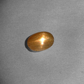 Pierre de soleil étoilée Brun doré naturelle Coupe ovale, 0.37 ct, Opaque