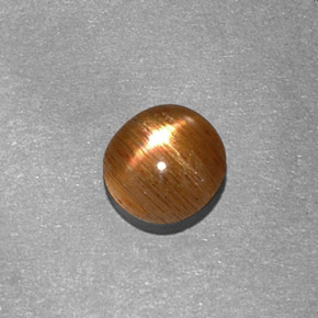 Pierre de soleil étoilée Brun doré naturelle Coupe ovale, 0.65 ct, Opaque