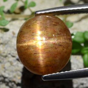 Pierre de soleil étoilée brun doré naturelle coupe ovale, 6,17 ct, opaque