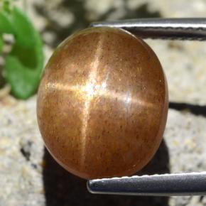 Pierre de soleil étoilée Marron chaud naturelle Coupe ovale, 8.26 ct, Opaque