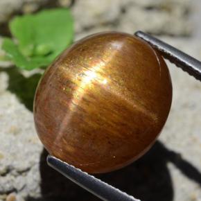 Pierre de soleil étoilée Brun doré naturelle Coupe ovale, 17.89 ct, Opaque