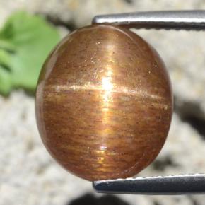 Pierre de soleil étoilée marron doré naturelle coupe ovale, 9,87 ct, opaque