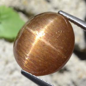 Pierre de soleil étoilée marron doré naturelle coupe ovale, 9,87 ct, opaque
