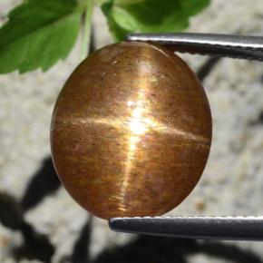 Pierre de soleil étoilée marron naturelle coupe ovale, 12,64 ct, opaque