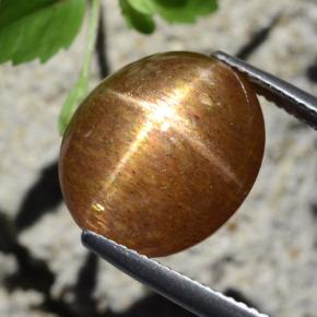 Pierre de soleil étoilée marron naturelle coupe ovale, 12,64 ct, opaque