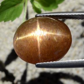 Pierre de soleil étoilée marron naturelle coupe ovale, 12,64 ct, opaque
