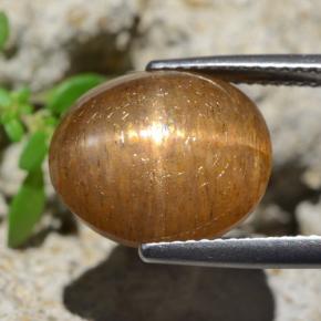 Pierre de soleil étoilée brun moyen naturelle coupe ovale, 8,35 ct, opaque