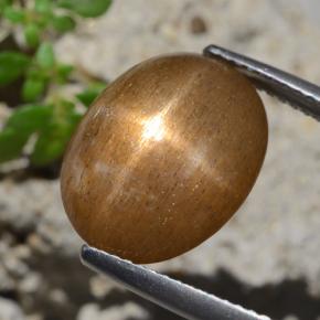 Pierre de soleil étoilée Brun doré naturelle Coupe ovale, 7.47 ct, Opaque