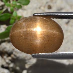 Pierre de soleil étoilée Brun doré naturelle Coupe ovale, 7.47 ct, Opaque