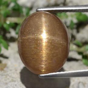 Pierre de soleil étoilée marron naturelle coupe ovale, 10,14 ct, opaque