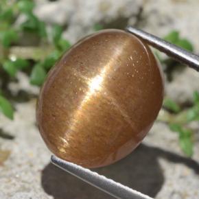 Pierre de soleil étoilée marron naturelle coupe ovale, 10,14 ct, opaque