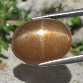 Pierre de soleil étoilée marron naturelle coupe ovale, 10,14 ct, opaque