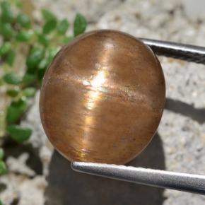 Pierre de soleil étoilée marron naturelle coupe ovale, 9,50 ct, opaque