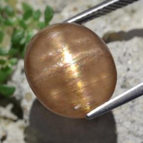 Pierre de soleil étoilée marron naturelle coupe ovale, 9,50 ct, opaque