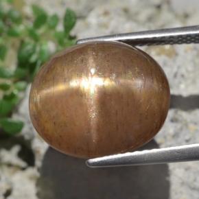 Pierre de soleil étoilée marron naturelle coupe ovale, 9,50 ct, opaque