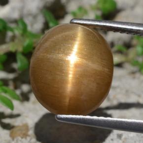 Pierre de soleil étoilée marron naturelle coupe ovale, 6,94 ct, opaque