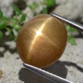 Pierre de soleil étoilée marron naturelle coupe ovale, 6,94 ct, opaque