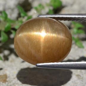 Pierre de soleil étoilée marron naturelle coupe ovale, 6,94 ct, opaque