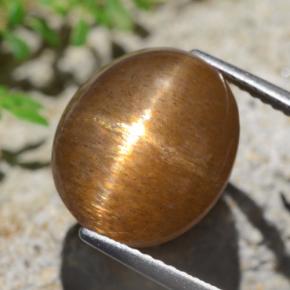 Pierre de soleil étoilée Brun moyen-léger naturelle Coupe ovale, 9.02 ct, Opaque