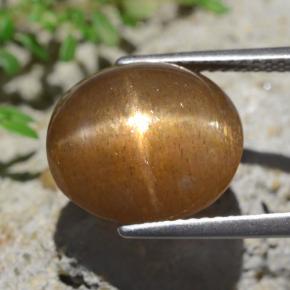 Pierre de soleil étoilée Brun moyen-léger naturelle Coupe ovale, 9.02 ct, Opaque