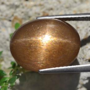 Pierre de soleil étoilée Brun doré naturelle Coupe ovale, 13,59 ct, Opaque