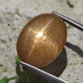 Pierre de soleil étoilée Brun doré naturelle Coupe ovale, 9.58 ct, Opaque