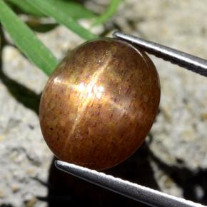 Pierre de soleil étoilée Brun doré naturelle Coupe ovale, 8.75 ct, Opaque