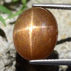 Pierre de soleil étoilée Brun doré naturelle Coupe ovale, 9.75 ct, Opaque