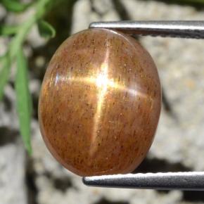 Pierre de soleil étoilée Brun doré naturelle Coupe ovale, 8.39 ct, Opaque