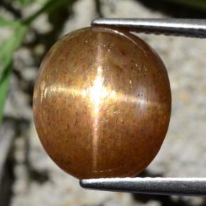 Pierre de soleil étoilée Brun doré naturelle Coupe ovale, 9.24 ct, Opaque