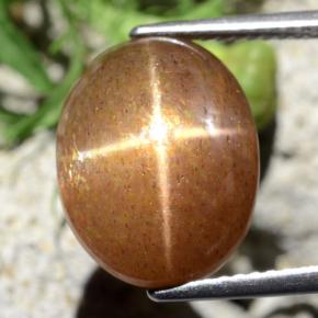 Pierre de soleil étoilée Brun doré naturelle Coupe ovale, 9.10 ct, Opaque