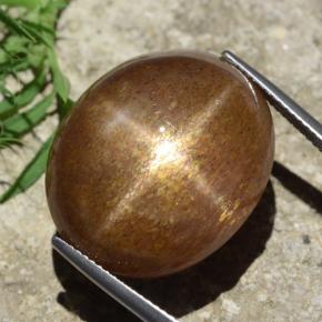 Pierre de soleil étoilée brun doré naturelle coupe ovale, 39,02 ct, opaque