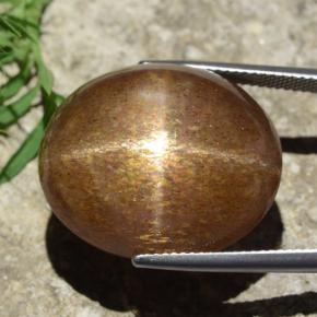 Pierre de soleil étoilée brun doré naturelle coupe ovale, 39,02 ct, opaque