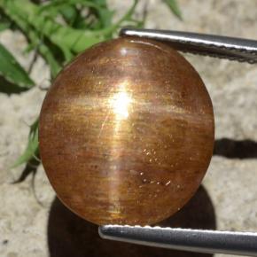 Pierre de soleil étoilée Brun doré naturelle Coupe ovale, 12.29 ct, Opaque