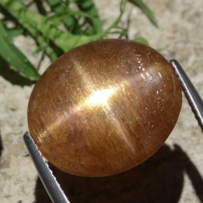 Pierre de soleil étoilée Brun doré naturelle Coupe ovale, 12.29 ct, Opaque